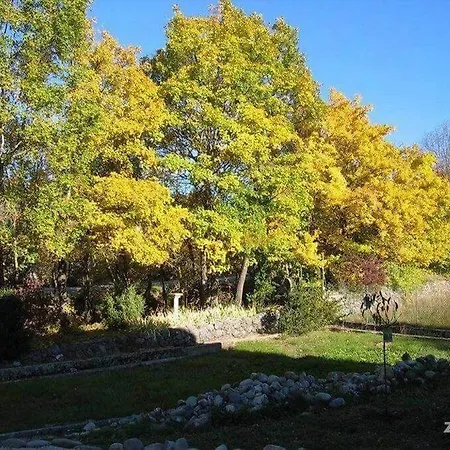 Maison Castellane Chambre D'Hotes Bed & Breakfast