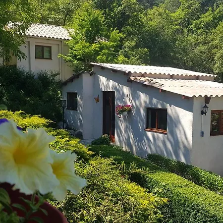 Maison Castellane Chambre D'Hotes